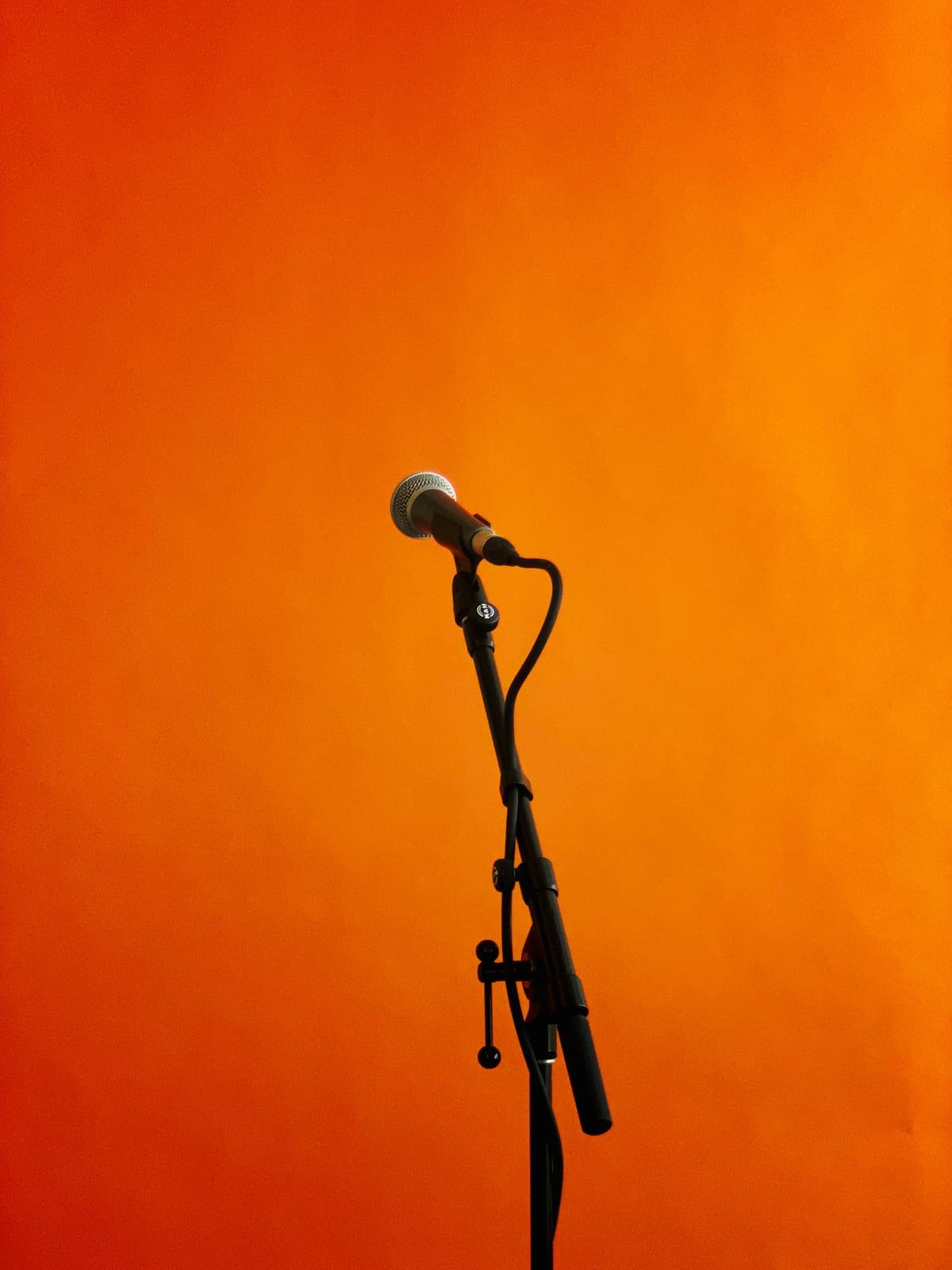 Black microphone on a stand