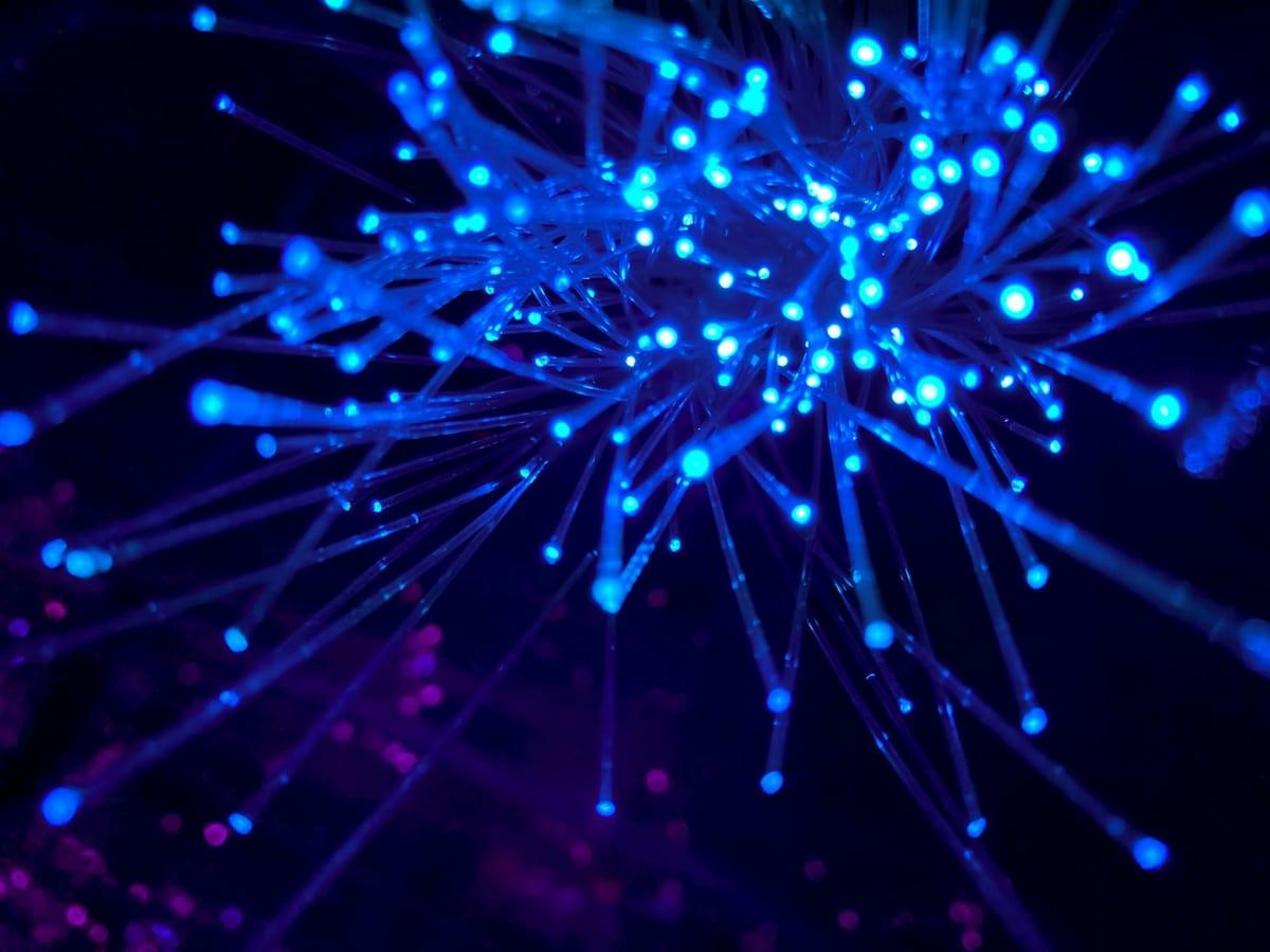 AI Weekly Digest: 24–31 July 2026